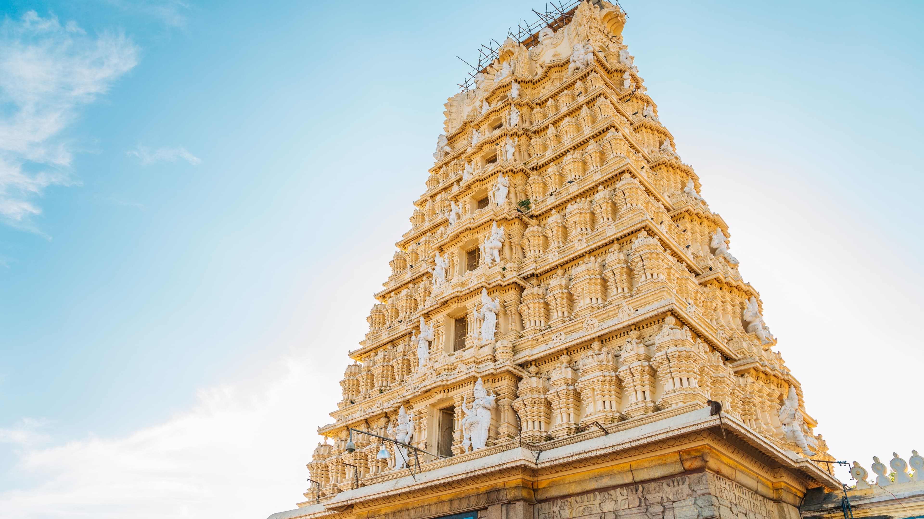 Annual Foundation Day