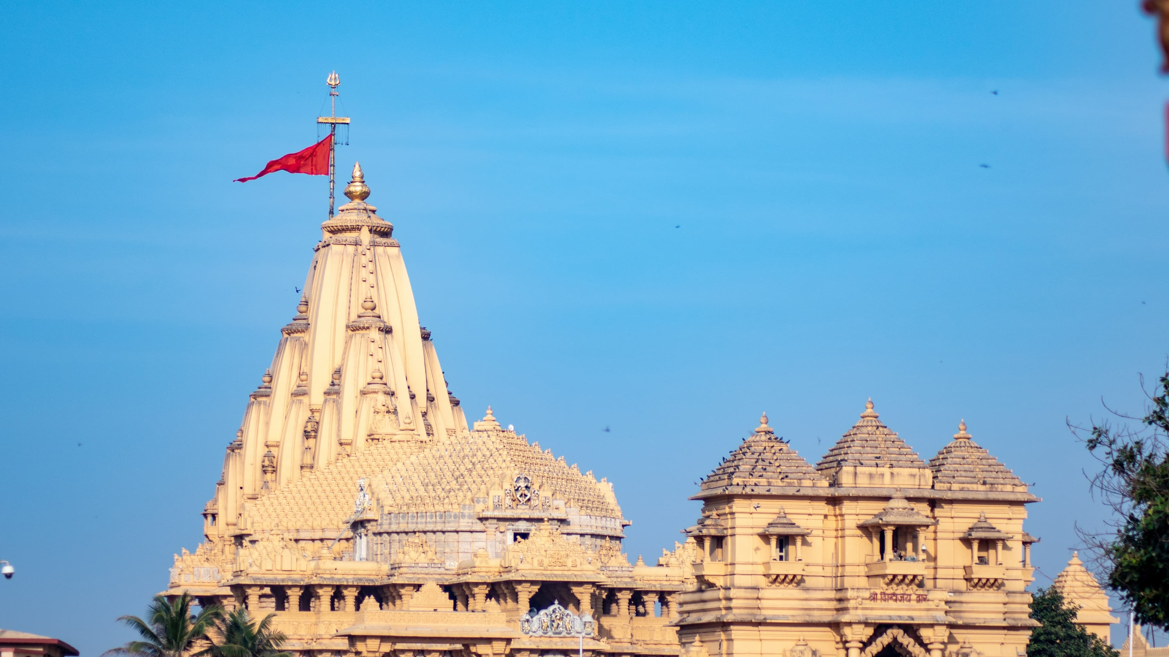 Night View Illumination